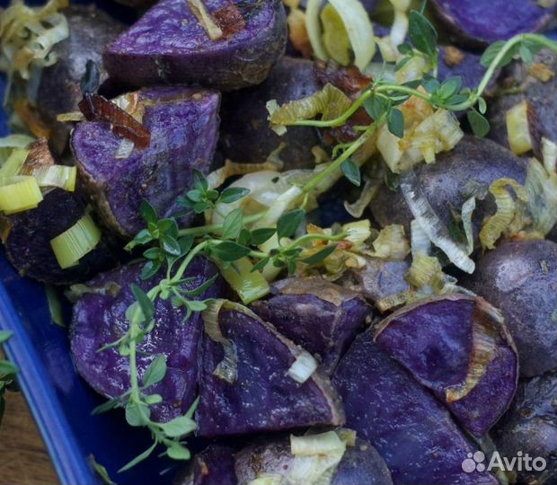 Семенной картофель с фиолетовой мякотью, синий