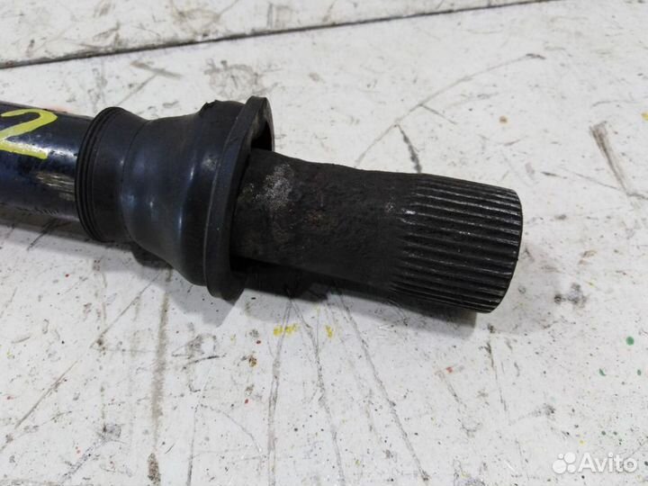 Торсион передний