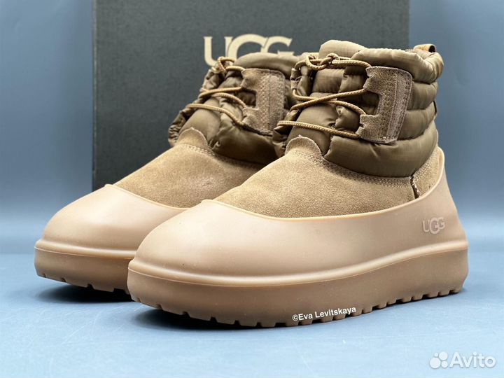 Угги Ugg Classic Mini Lace-Up Weather Chestnut