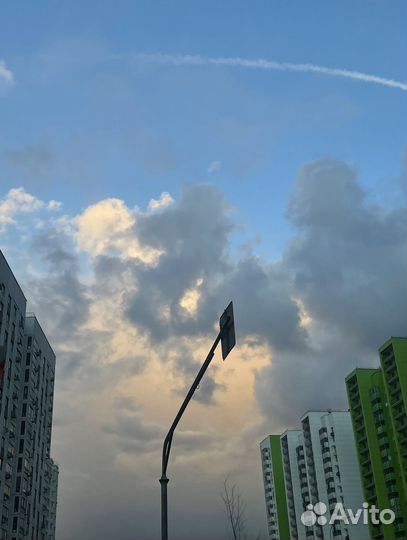 Готовое ООО