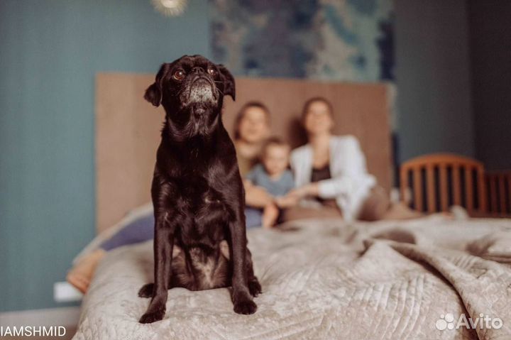 Семейный фотограф