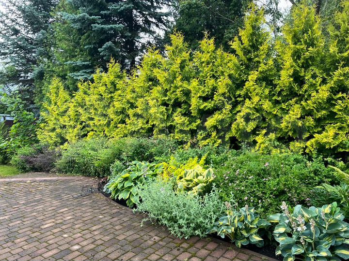 Дом 165,5 м² на участке 17,5 сот.