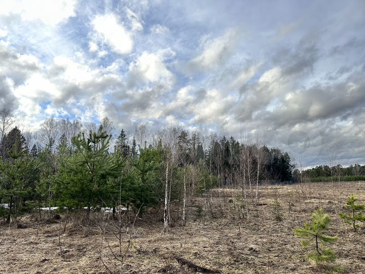 Участок 12,9 сот. (ИЖС)