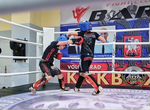Кикбоксинг,Тайский бокс,К1
