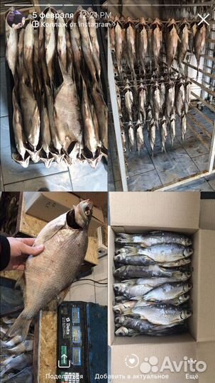 Рыба вяленая оптом