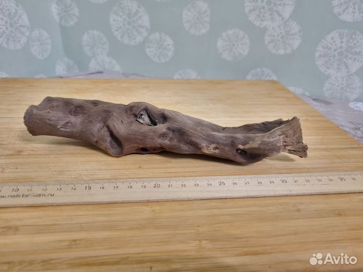 Коряги для аквариума. Террариум