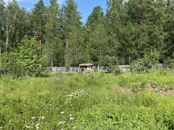 Участок 6,2 сот. (СНТ, ДНП)