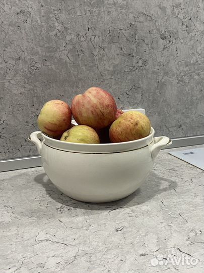 Супница Зик СССР декор