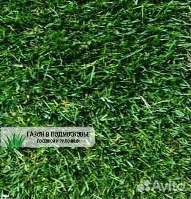 Рулонный газон