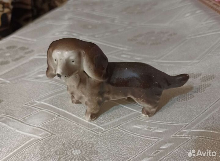 Собака и лев лфз