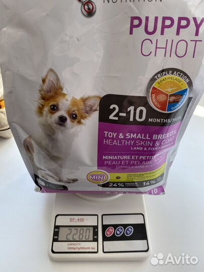 Корм для собак 1st choice nutrition и monge