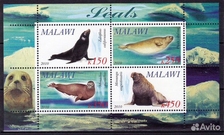 Животный мир. Блоки Малави 2010 год MNH **