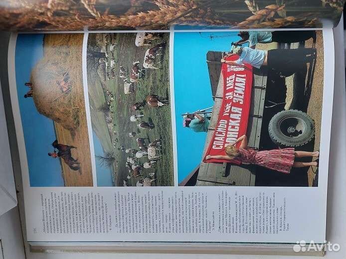 Книга Шолохов