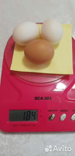 Домашние куриные яйца