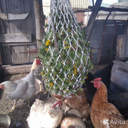 Рептух для с/х животных,птицы