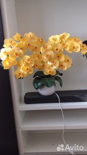 Орхидеи светильники и многое другое