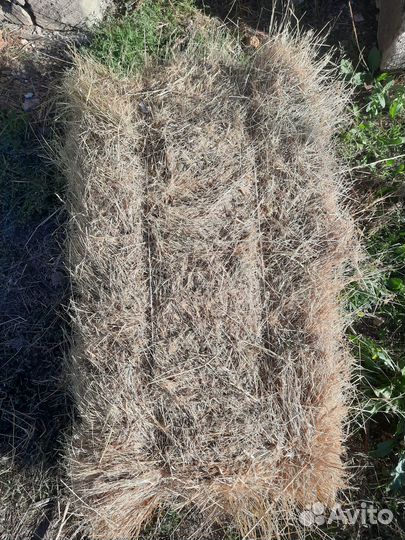 Продам сено