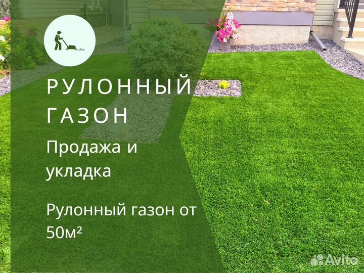 Укладка и продажа рулонного газона