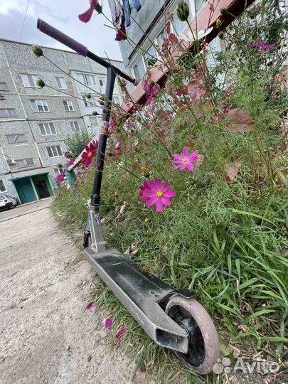 Самокат tech team ragtag 2022