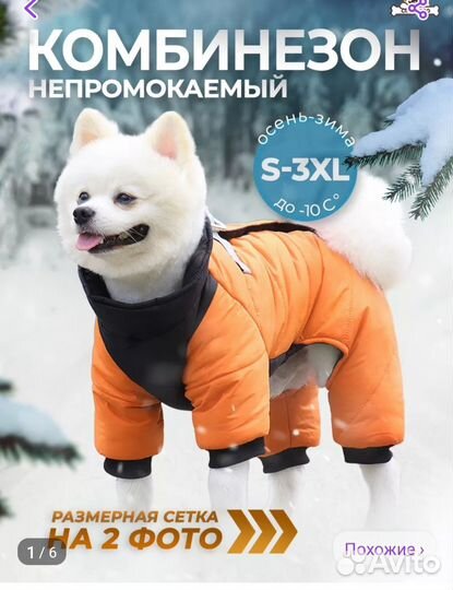 Одежда для средних собак