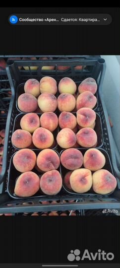 Фрукты овощи доставка на дом