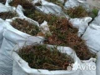 Мох для утепления