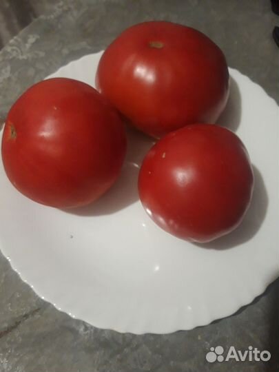 Семена томатов