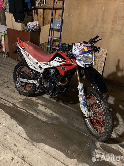 Ттр ирбис 250