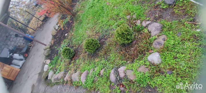 Тут шаровидные