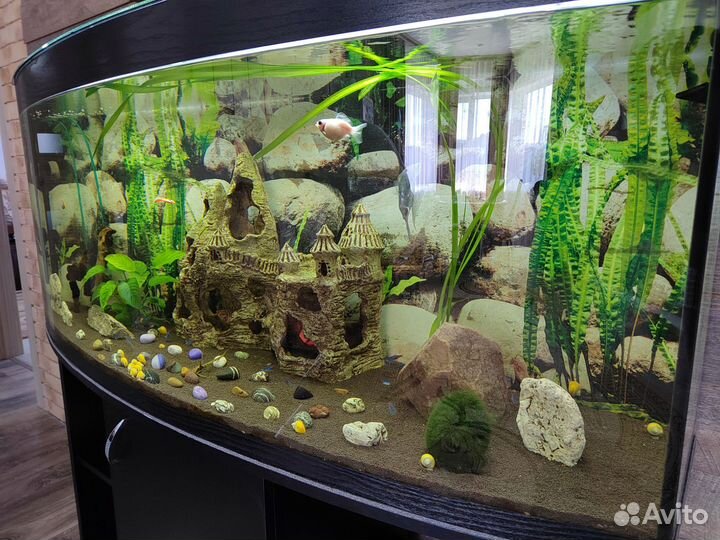 Аквариум с тумбой