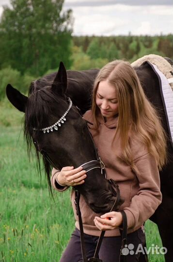 Конные прогулки