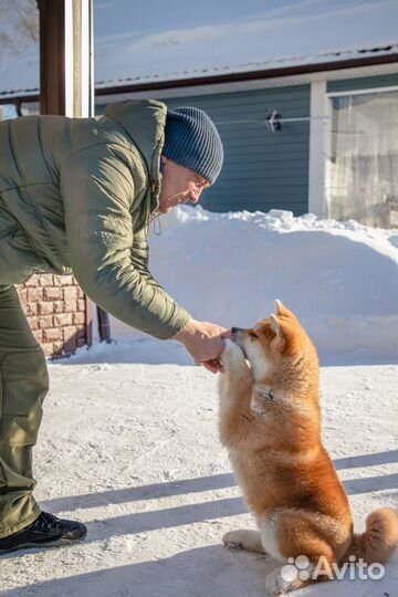Кинолог-зоопсихолог