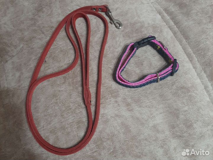 Шампунь, спрей, шлейка, поводок для собак