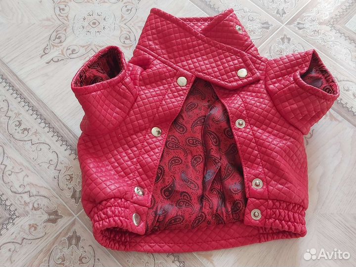 Одежда для маленьких собак