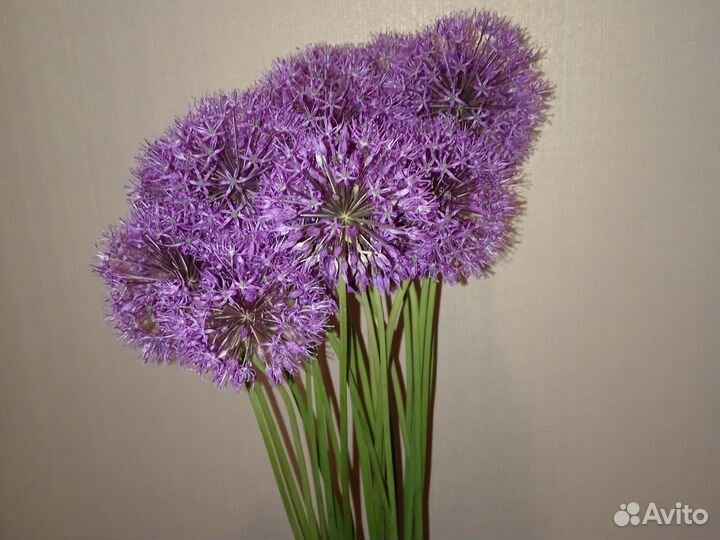 Букет Аллиум Декоративный лук