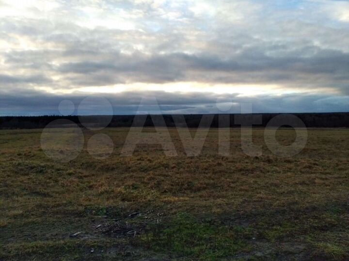 Участок 6 га (СНТ, ДНП)