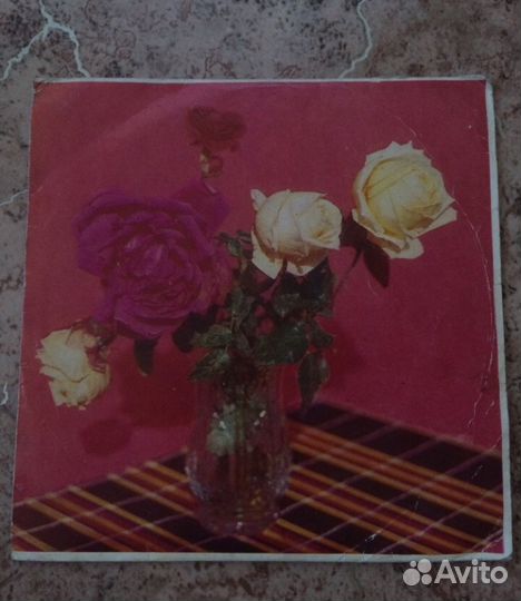 Грампластинки (мини)