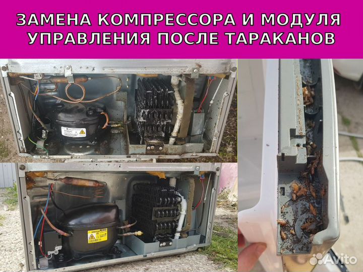 Ремонт холодильников и морозильных камер