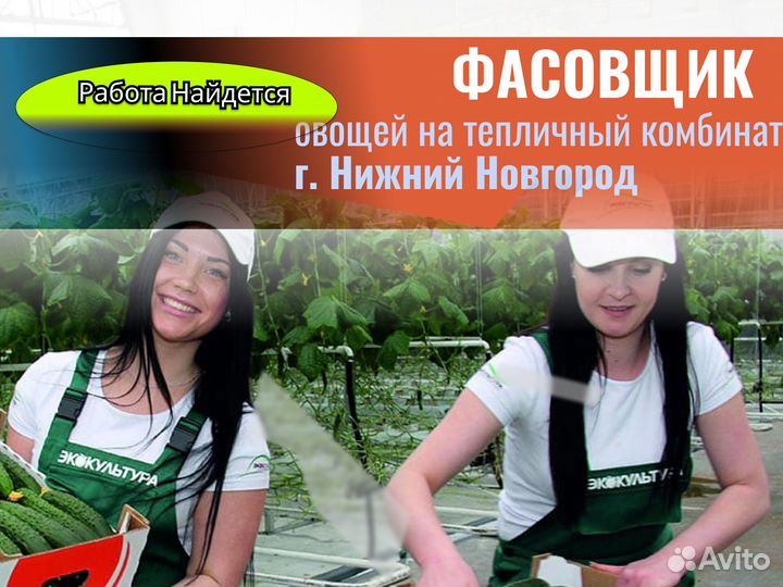 Фасовщик овощей. г. Нижний Новгород