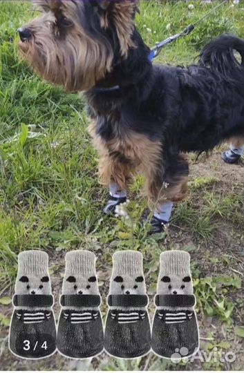 Носки прорезиненные для собак