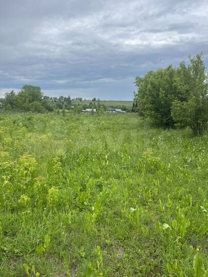 Участок 15 сот. (ИЖС)