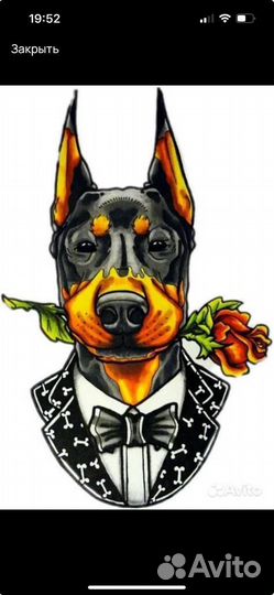 Контрактное производство сухого корма, стм