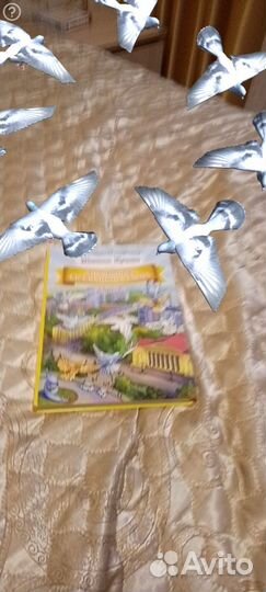 Интерактивная детская книга, Михаил Куншт