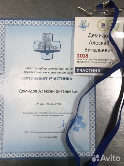 Кастрация кота в любом районе спб. Ветврач на дом