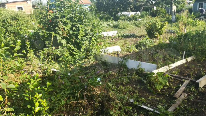 Участок 6 сот. (СНТ, ДНП)