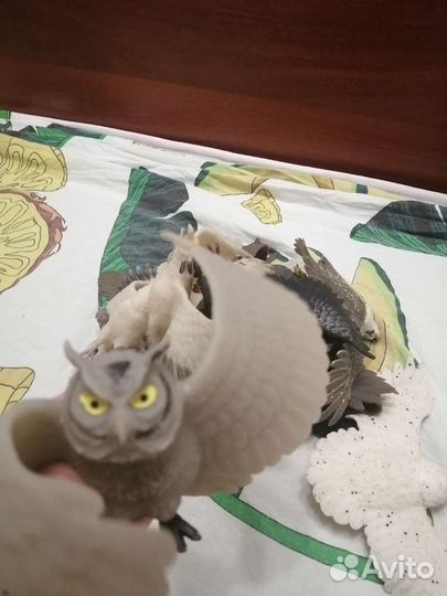 Игрушки резиновые