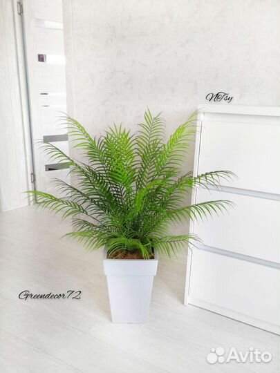 Искусственные растения и деревья Фикус