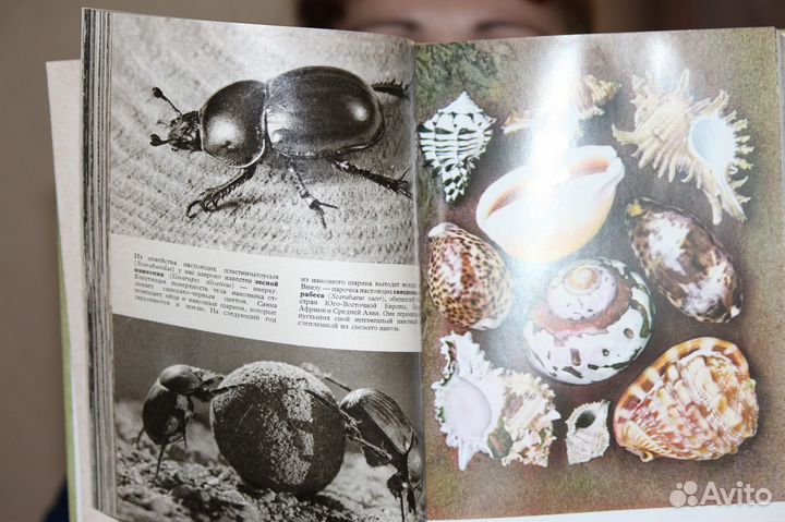 Иллюстрированная энциклопедия животных