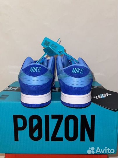 Nike Sb Dunk Low blue raspberry (Premium)