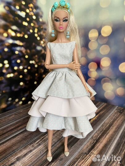 Poppy parker Camera loves her Integrity toys